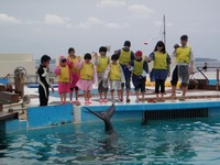 沖縄ちゅら（美ら）海水族館イルカ体験の参加方法＾＾