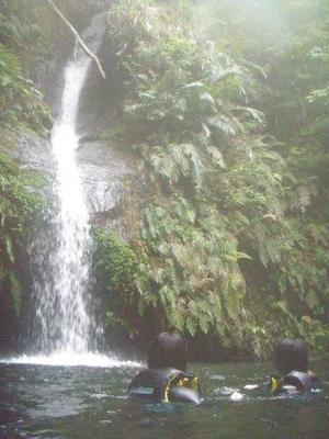 沖縄の自然体験・エコツアー・滝を目指す沢登りツアー