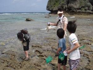 沖縄の自然体験・エコツアーで海辺のピクニックツアー