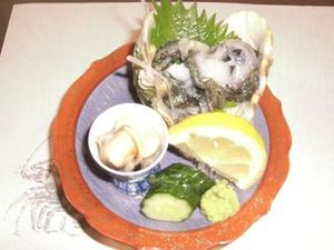 シャコ貝