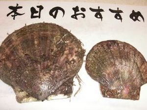 北海道産ホタテ貝