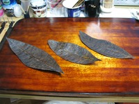 「…ひと味違うような気がするのです」の巻 2012/12/02 12:24:02