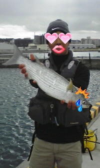 Ｘ’masも宜野湾新漁港 2008/12/26 15:28:50