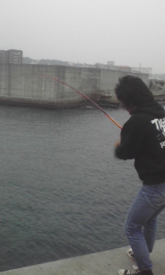 宜野湾に棲む怪物・・・