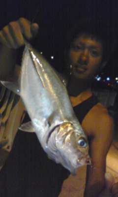 ２００８　大体ダイジェスト