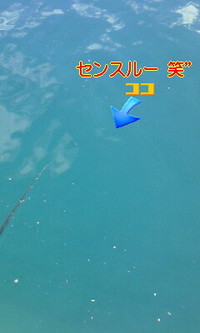 宜野湾に棲む怪物・・・ 2009/01/19 22:46:29