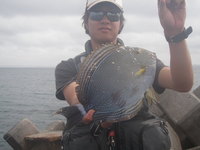 近場釣果調査。 2009/04/25 19:40:42