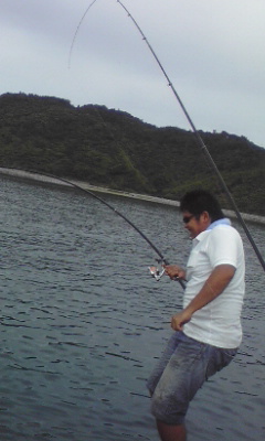 ２００８　大体ダイジェスト