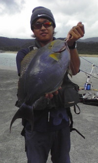 ＭＥＧＡ　ＢＬＵＥ　～後編～ 2008/11/09 04:23:54