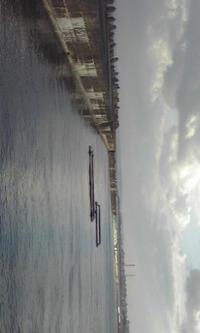 ｉｎ西洲防波堤先端 2009/01/12 08:32:48