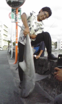 緊急速報！！！ 2009/07/23 19:31:07