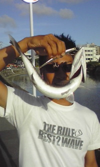 メガブルー 2009/07/14 00:33:08