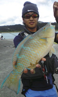 ＭＥＧＡ　ＢＬＵＥ　～前編～ 2008/11/07 03:05:56