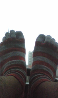 釣果報告！ 2009/06/15 16:56:47