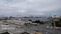初詣ウォーキング～２０２５