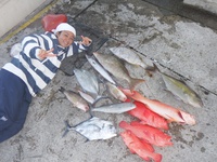 魚釣ったどー 2014/11/25 16:29:29