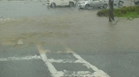 逃亡犬！？