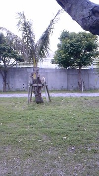 何だろう？ 2013/02/12 13:32:58