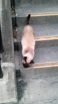 モテる理由は？ 2013/03/15 17:52:42
