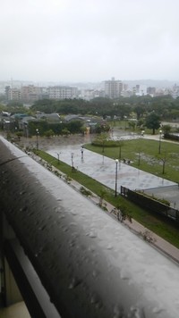 雨の一日 2014/05/13 08:47:55