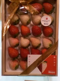 セレブな苺 2009/01/11 12:56:44