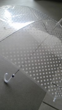 水玉の傘 2011/06/01 15:32:46