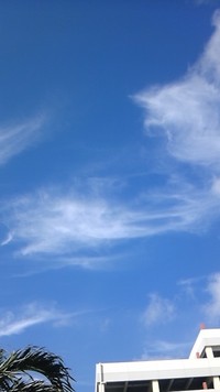 空を見上げてみると 2011/06/08 20:10:51