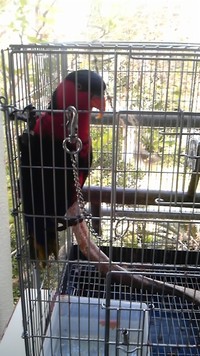 ペットも社員♪ 2011/06/18 09:03:25