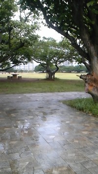 雨の朝 2011/10/03 10:15:23