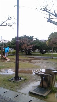 夜明けの雨 2012/02/07 10:33:16