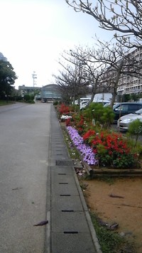 春です♪^0^) 2012/03/21 19:04:38