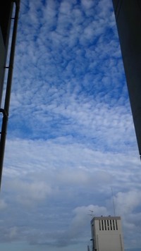 ゆっくりと秋… 2012/09/07 09:59:31
