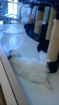 ラッキー♪ 2012/10/12 16:51:30