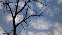 空の中に… 2013/01/24 11:38:23