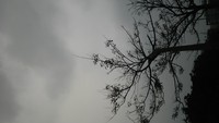 好きな空は？ 2013/01/25 11:46:30
