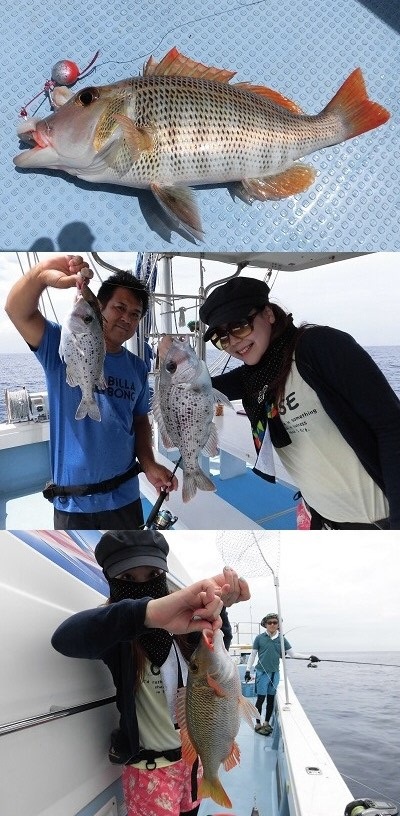 ６/６　離島泊