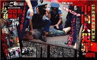 池袋 “不良中国人”の実態　 暴力事件、脱法ハーブ・治安悪化で無法地帯に 2014/07/17 07:10:00