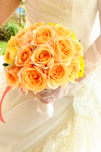 ◇business◇【魅せる写真の撮り方講習】のお話し 2015/04/30 15:00:00