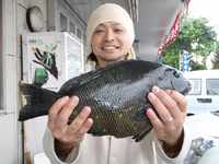 メジナ釣果情報
