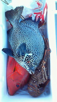 まーさむんGet!! 2011/07/03 06:27:46