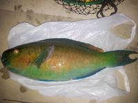 脱出！？ 2011/09/30 18:30:00