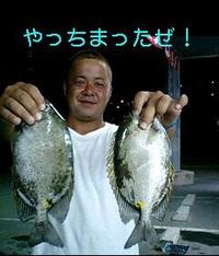 カーエー釣果情報【2011/02/07追加】