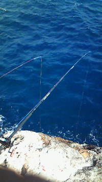 ほぼ撃沈！？釣行記 2011/02/12 21:29:31