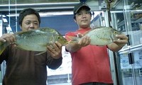 プロジェクト効果！？(笑) 2011/05/27 08:39:36