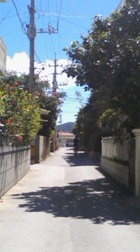 シュノーケル★in座間味島 2010/09/18 11:14:29