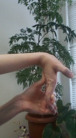 気づき 2010/02/13 14:48:51