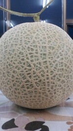 祝★メロン 2010/06/10 10:38:26