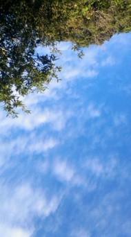 やんばる森のヨガから帰ってきました 2010/10/11 19:44:29