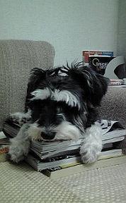 んっ!? 2010/11/06 12:18:12