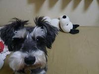 勉強会ｄａｙ 2010/10/21 11:38:18